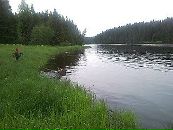 Фотография Сырых Александра
