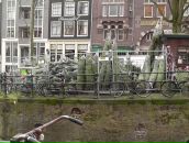 Михаил Кор фотография #39 (источник - https://vk.com/id8564320)