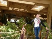 Вікторія Пiнчук фотография #50 (источник - https://vk.com/id10488048)