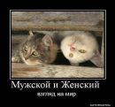 Тарас Гніденко фотография #45 (источник - https://vk.com/id30298934)