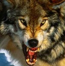 Альона Міносян фотография #10 (источник - https://vk.com/id142903292)