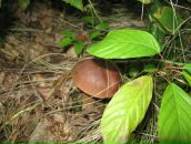 Маряна Сокіл фотография #24 (источник - https://vk.com/id8316949)