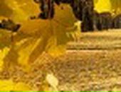 Іра Мушенко фотография #43 (источник - https://vk.com/id20281692)