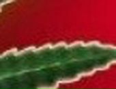 Кирил Івженко фотография #12 (источник - https://vk.com/id82503545)