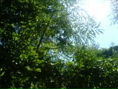 Иван Кузнецов фотография #20 (источник - https://vk.com/id98103)