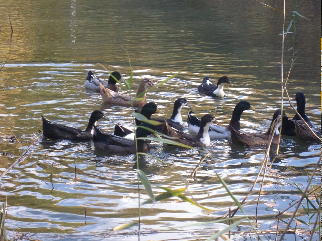 Сергей Оцерклевич фотография #22