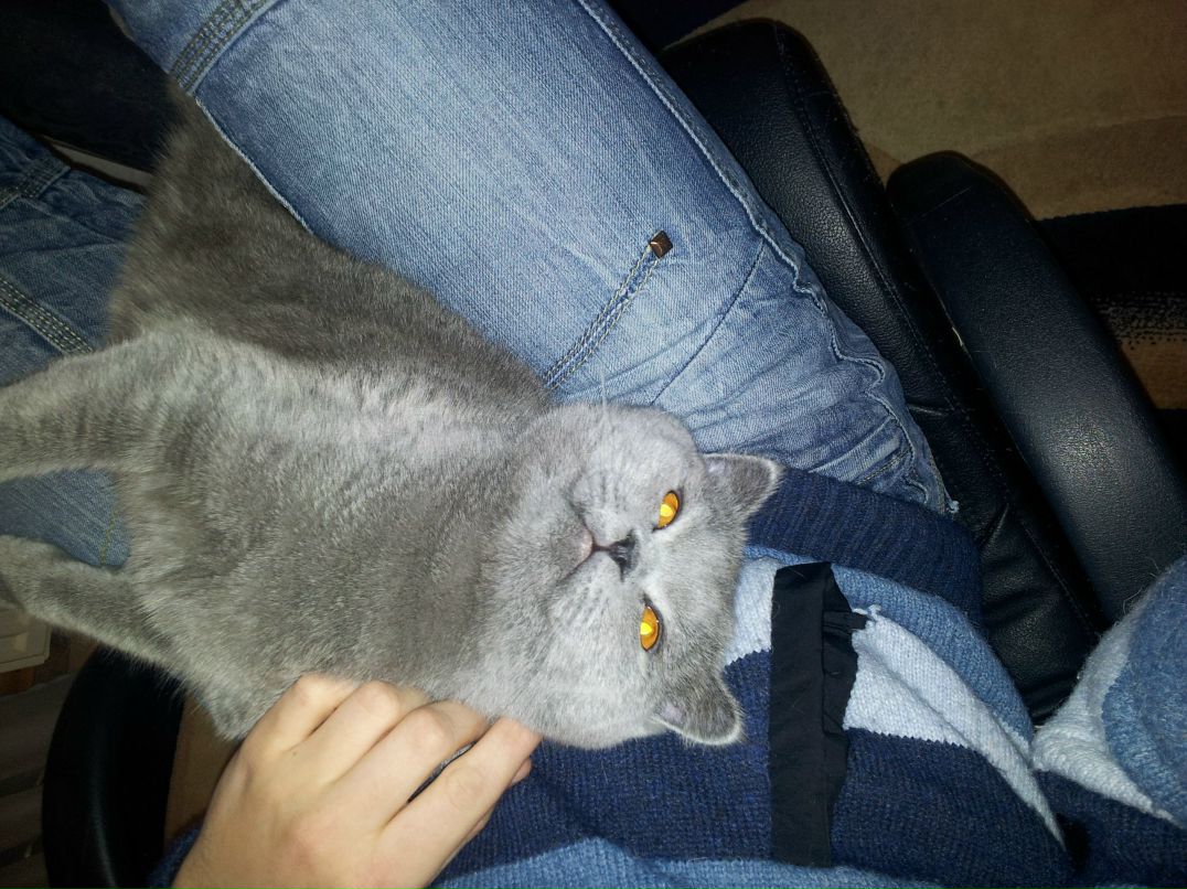 Сергей Тараненко фотография #16