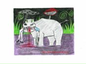 Фотография Terekhova Daria