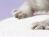 Настя Передерий фотография #38 (источник - https://vk.com/id166318049)