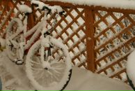 Фотография Пирожкова Андрея