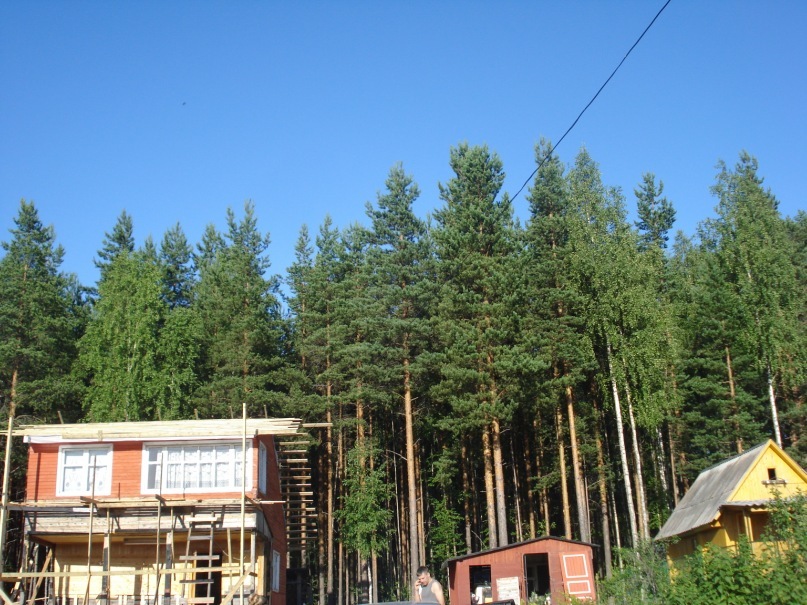 Коля Уланкин фотография #39