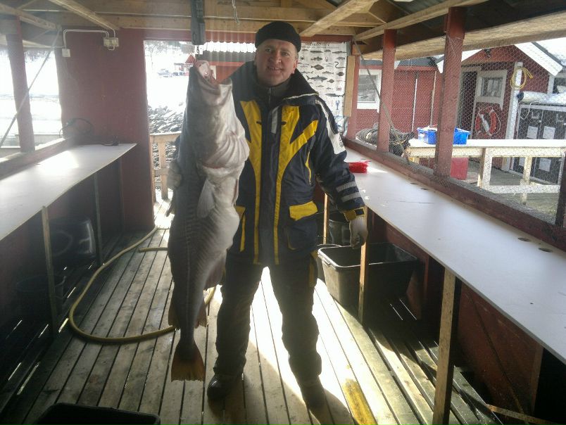 №18, Виктор Арумс, 59 лет, Санкт-Петербург №18, Виктор Арумс, 59 лет, Санкт-Петербург