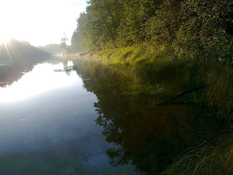 Катерина Кокорева фотография #43