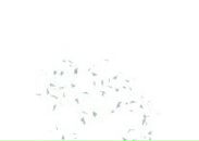 Фотография Алилуи Алика