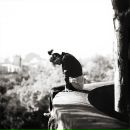 Фотография Dezhurina Anastasija