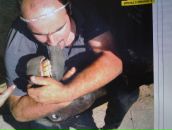 Фотография Dacha Sasha