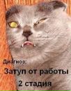 Фотография Шустова Дмитрия