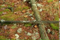 Сергій Синиця фотография #18 (источник - https://vk.com/id48487905)