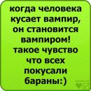 Олександр Остапів фотография #45 (источник - https://vk.com/id30074386)