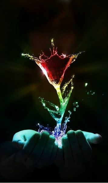 №12, Mete Abduraman №12, Mete Abduraman