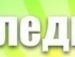Юрчік Мовчанюк фотография #3 (источник - https://vk.com/id99311416)