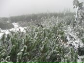 Федя Поліщук фотография #17 (источник - https://vk.com/id31105437)