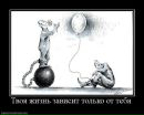 Юрій Бідненко фотография #28 (источник - https://vk.com/id151010759)