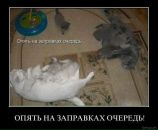 Антон Матійко фотография #27 (источник - https://vk.com/id31452730)