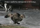 Віталя Хміль фотография #16 (источник - https://vk.com/id150278787)