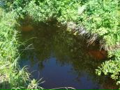 Ігор Кобилинець фотография #14 (источник - https://vk.com/id58382929)