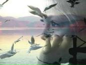 Фотография Смирнов Илья