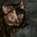 Фотография Джаксты Вари