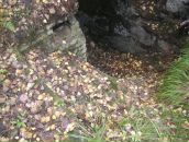 Сергей Корнеев фотография #48 (источник - https://vk.com/id1681972)