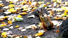 Фотография Тимоновой Александры