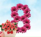 Александр Иванов фотография #1