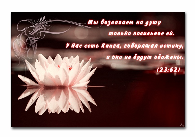 Рафаэль Сагдеев фотография #14