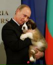 Фотография Сужаева Макса