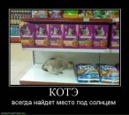 Фотография Михайловича Виктора