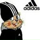 Фотография Тарской Юлии