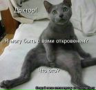 Дмитрий Недбайло фотография #19 (источник - https://vk.com/id1300758)