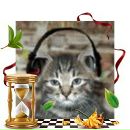 Alex Fox фотография #27 (источник - https://vk.com/id40662)