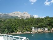 Міша Motsa фотография #24 (источник - https://vk.com/id52852421)