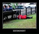 Фотография Лыжина Артёма