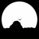 Фотография Бенедик Вадим