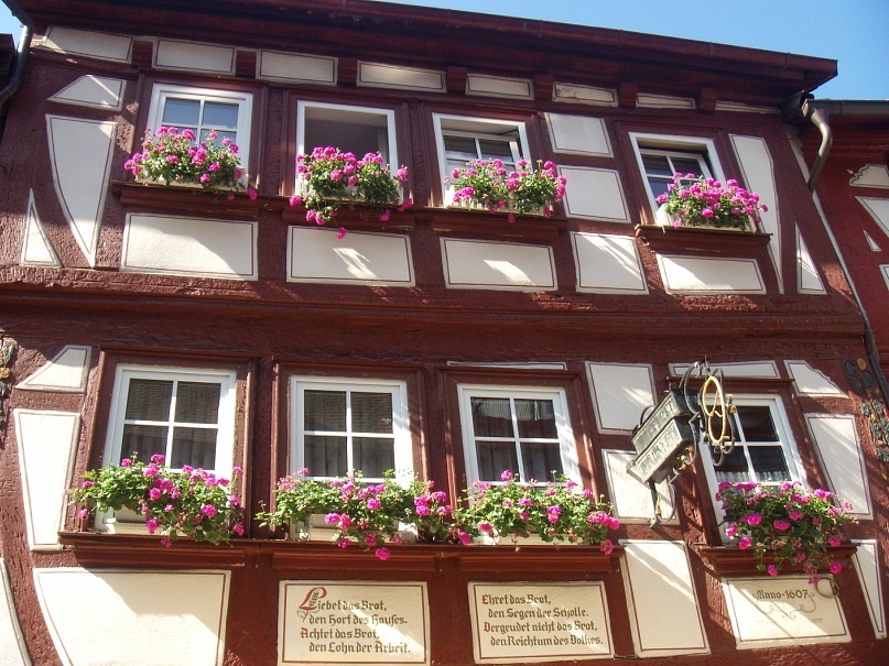 Дмитрий Киреев фотография #49