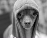 Фотография Ивановой Анастасии