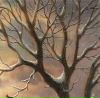 Андрій Дударчук фотография #11 (источник - https://vk.com/id125634141)