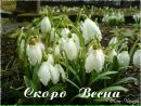 Фотография Шарховой Катерины
