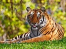 Дмитрий Веркалец фотография #1