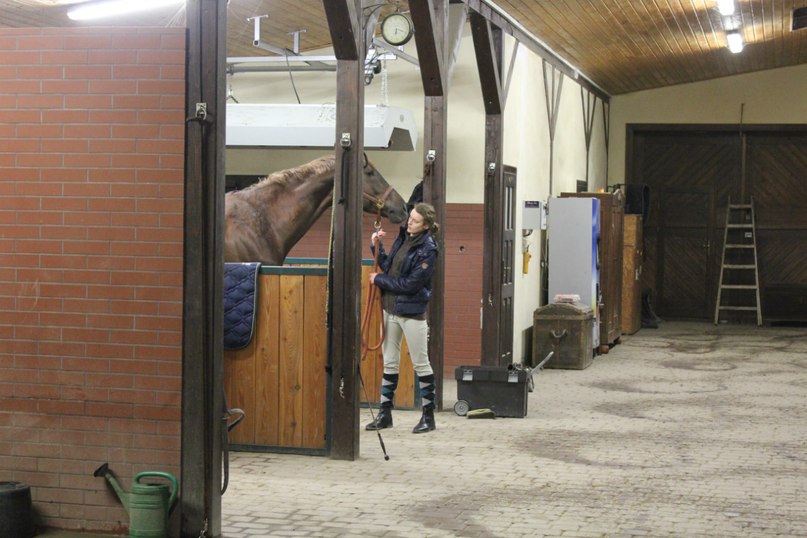 Денис Наводный фотография #22